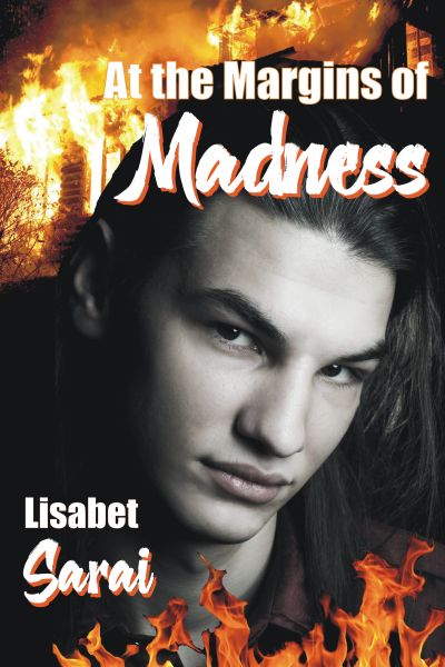 Guest Author Lisbet Sarai's novel "The Journeyman's Trial" cover image